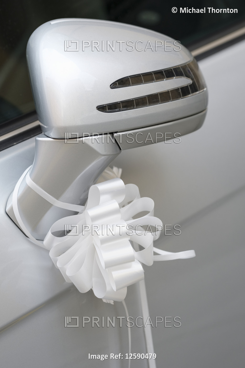 Just married, ribbon on car wing mirror, old city of Lucca, Tuscany, Italy, ...
