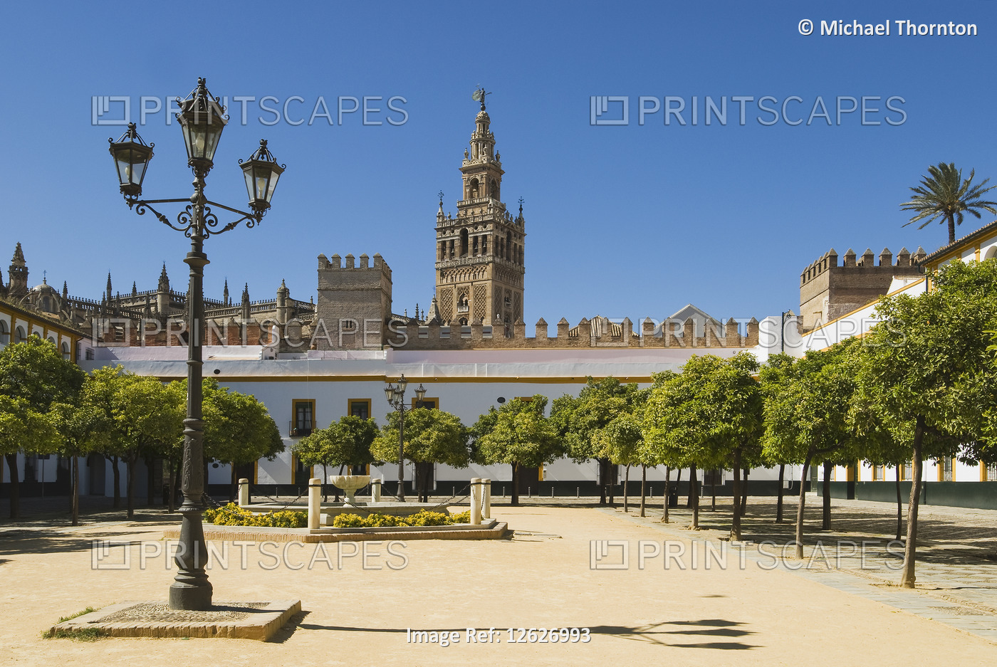 Patio de Banderas - Patio of the flags, with Seville Cathedral and La Giralda ...