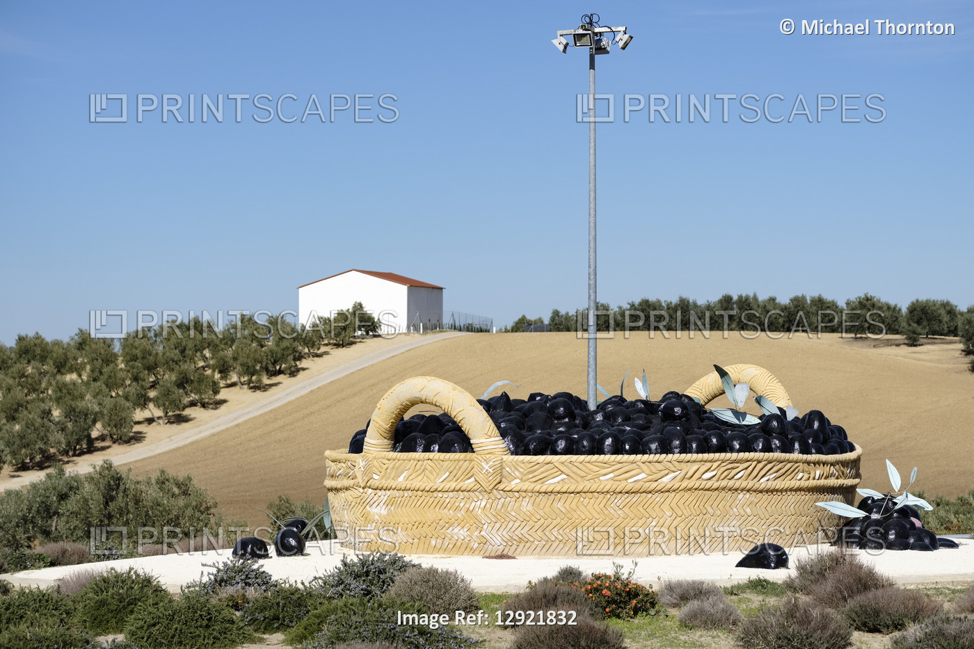 Large Basket of Black Olives as a traffic roundabout centrepiece, El Saucejo, ...
