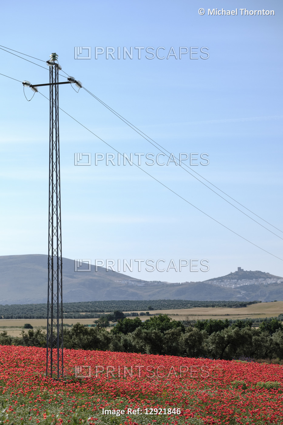 Electricity pylon in field of Red Poppies, Papaver rhoeas, and Common Daisies, ...
