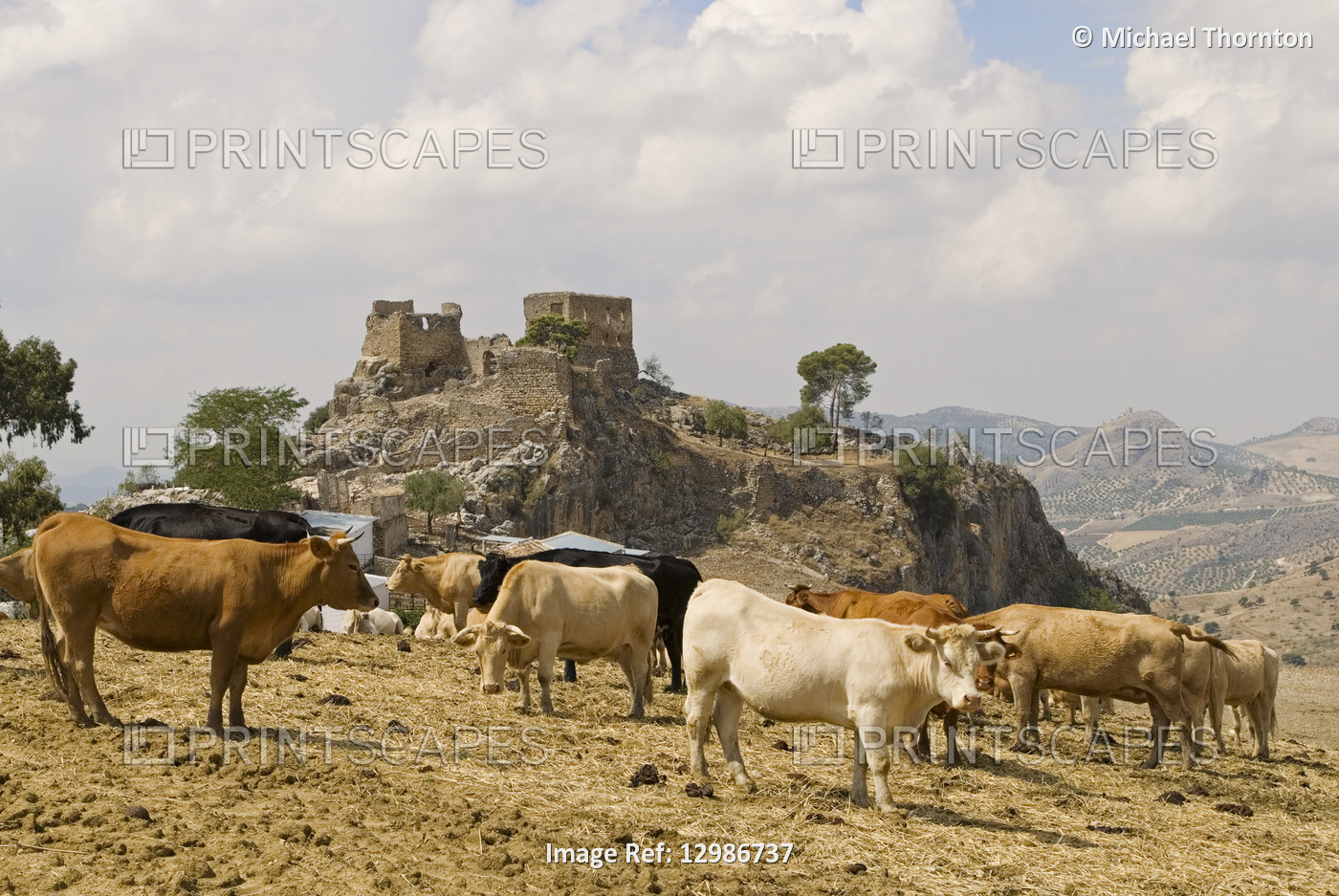 Ruined Castle in the province of Cádiz, Andalucia, Spain